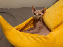 Load image into Gallery viewer, BANANA Bed for Cats and Dogs