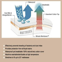 Load image into Gallery viewer, The mattress cover king queen organic provides the protective water resistance