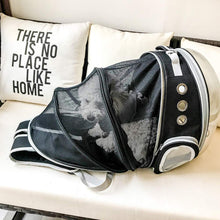 Load image into Gallery viewer, LOLLIMEOW Transparent Pet Backpack
