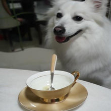 Load image into Gallery viewer, MOROCCO Porcelain Coffee Set