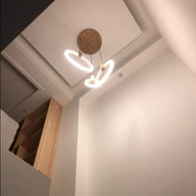 Load image into Gallery viewer, FANTASY Pendant Lamp