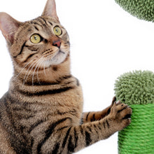 Load image into Gallery viewer, CACTUS Cat Scratching Post
