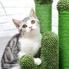 Load image into Gallery viewer, CACTUS Cat Scratching Post