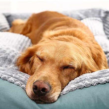 Load image into Gallery viewer, DREAMER Bed for Dogs and Cats