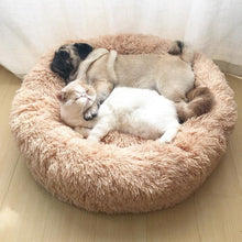 Load image into Gallery viewer, UMKA Pet Bed